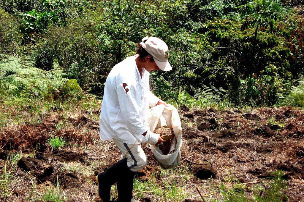 Female farmer in colombia provided training in agricultural prod