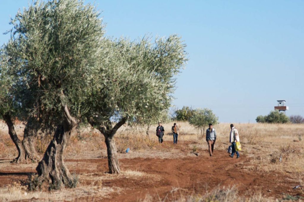 Photo-of-Syrians-in-field-photo-credit-Kemal-Vural-Tarlan-cropped