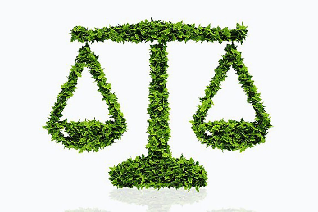 Sustainable Development Law