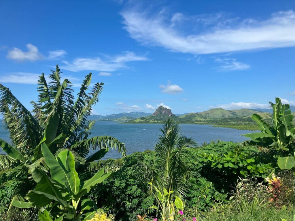 View of the rainforest and ocean through the trees