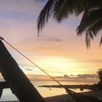 Sunset shot with a palm tree and hammock in the foreground