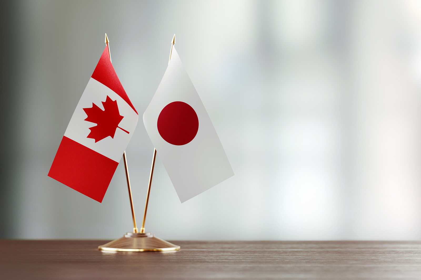 Canada and Japan flags in a small flag holder on a desk.