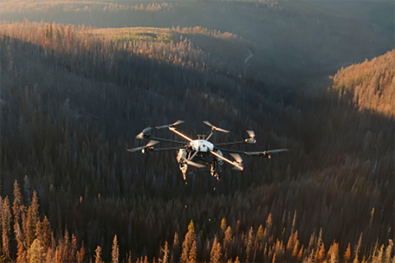 Drone flying over treetops.