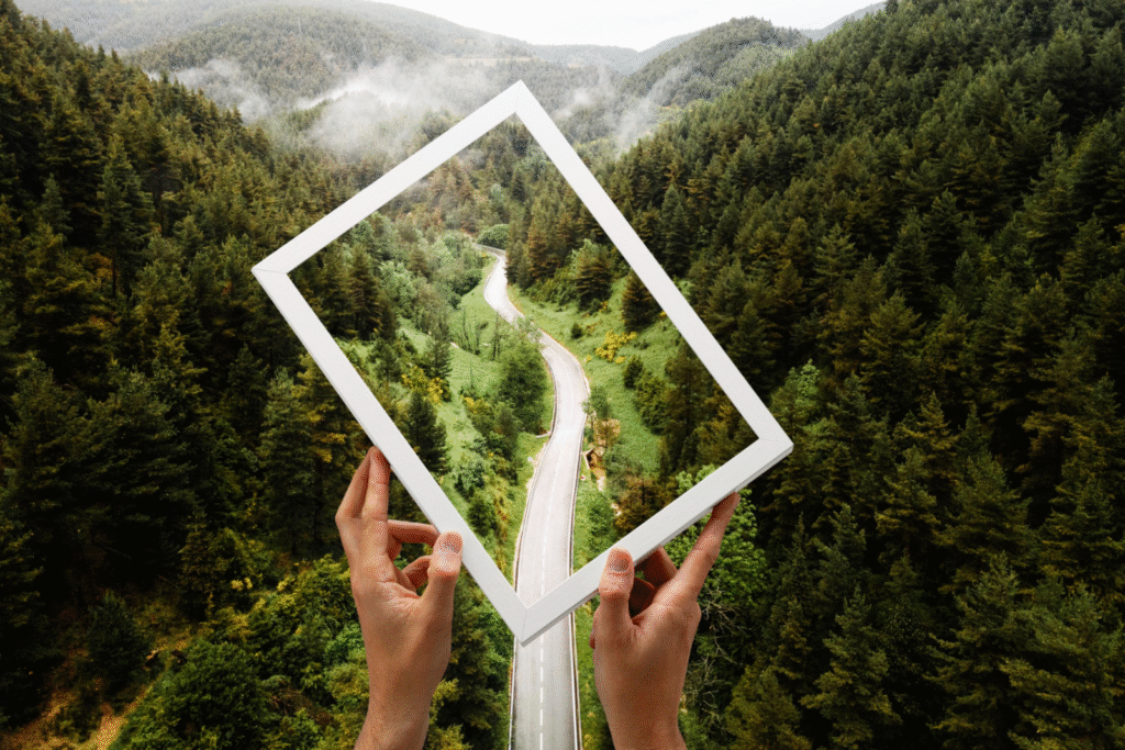 Pathways to a Sustainable World