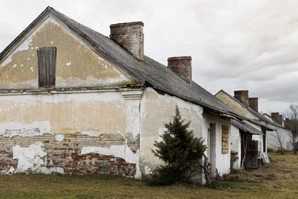 view-deserted-decaying-house-nature